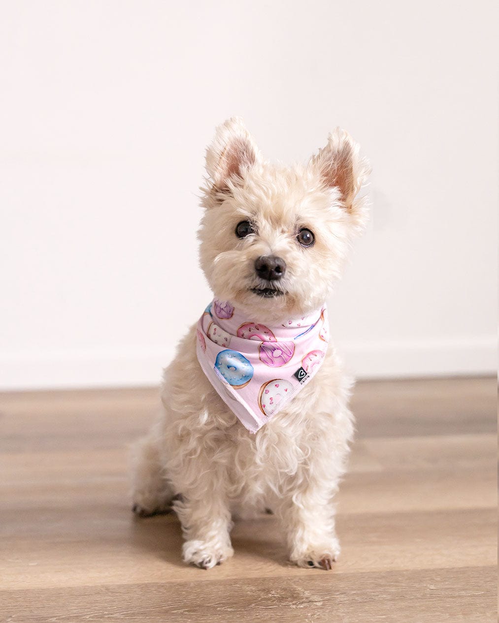 Donuts Pet Bandana-Bambooclothing- Lev Baby ™