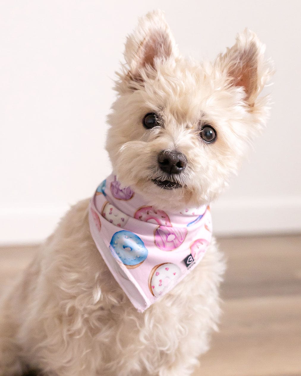 Donuts Pet Bandana-Bambooclothing- Lev Baby ™