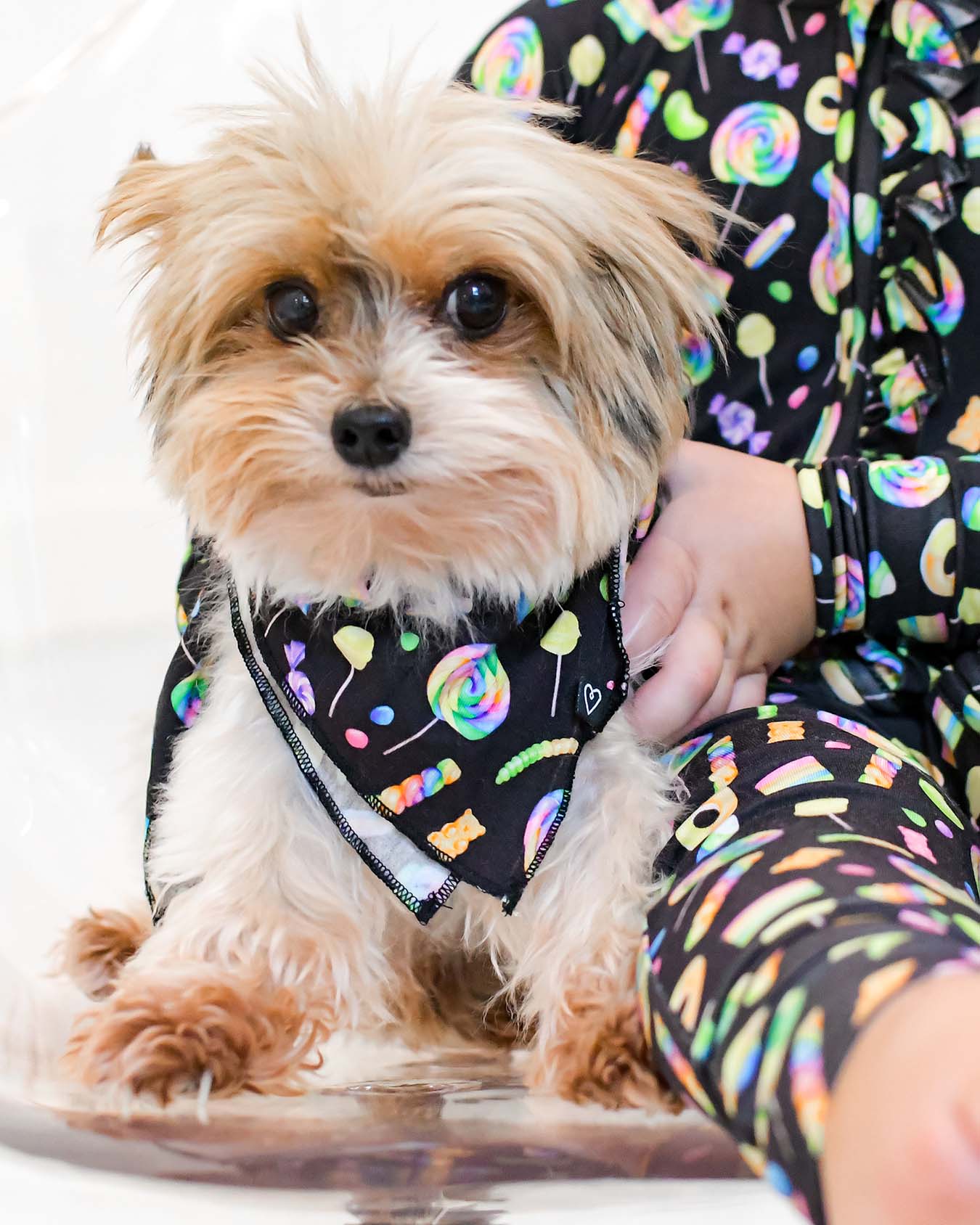 Ella Dog Bandana