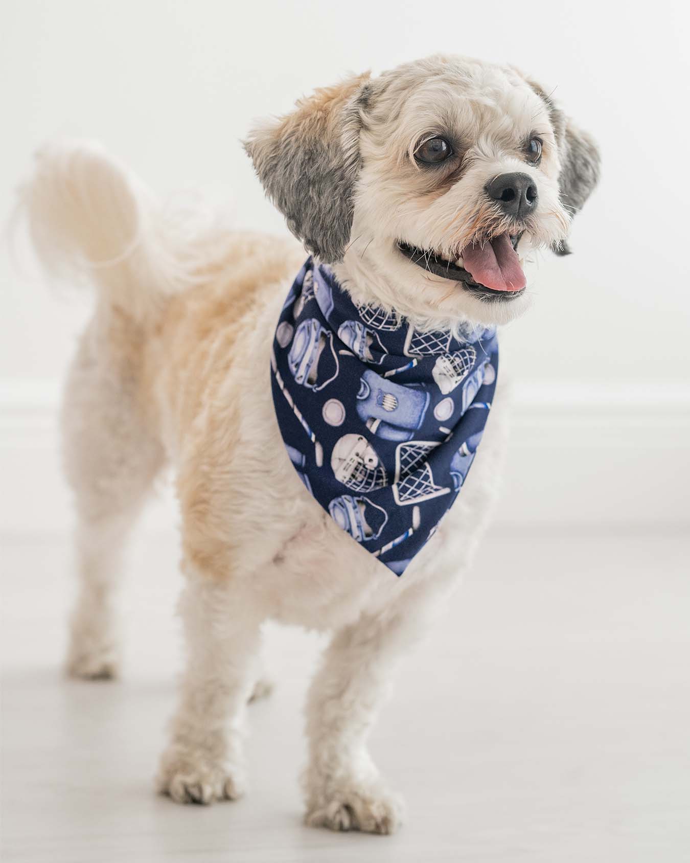 Hockey Pet Bandana