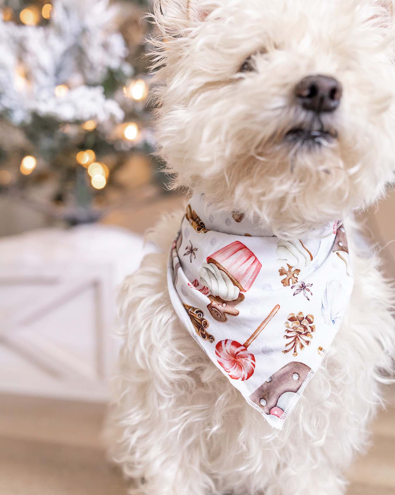 Joy Dog Bandana