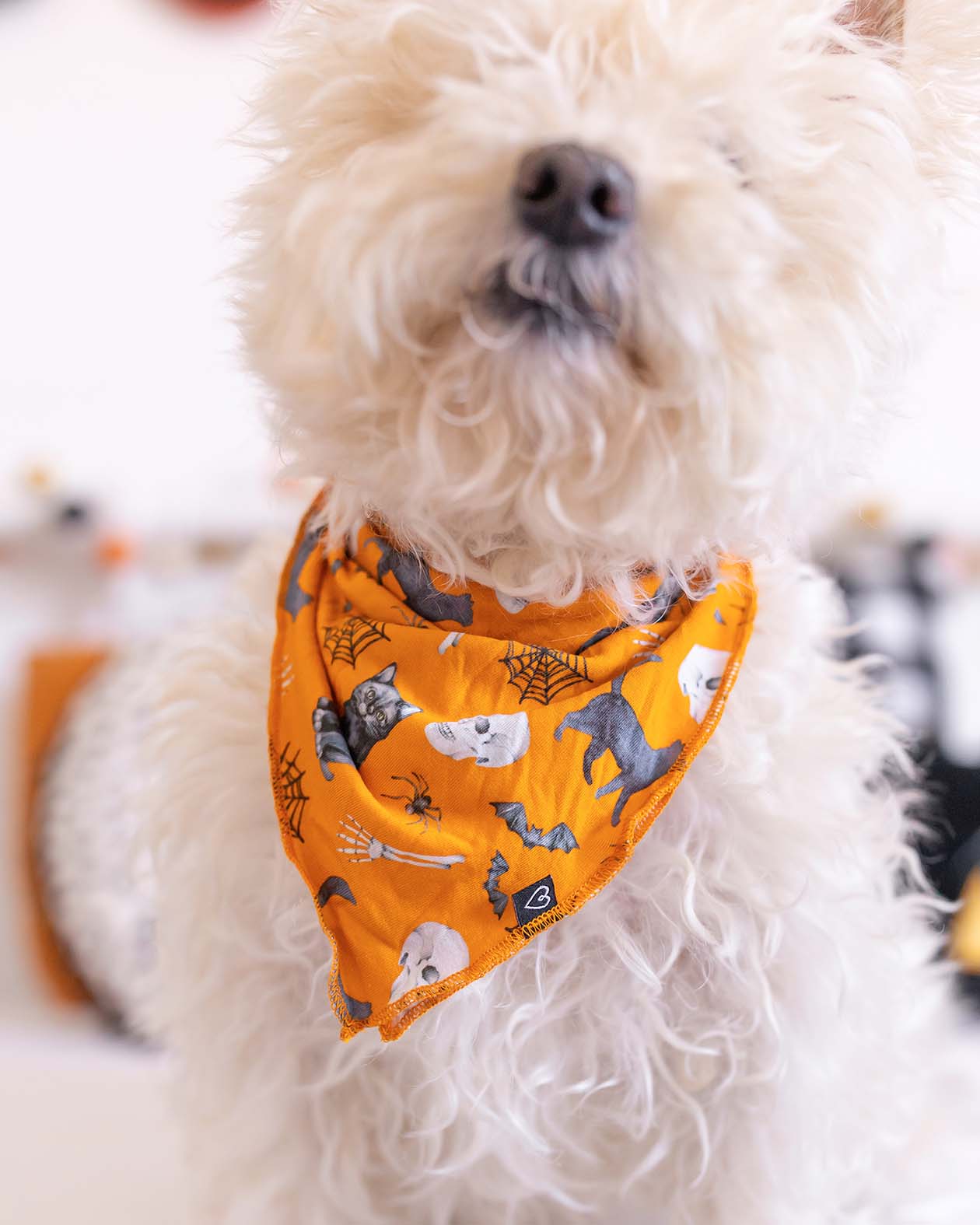 Onyx Dog Bandana